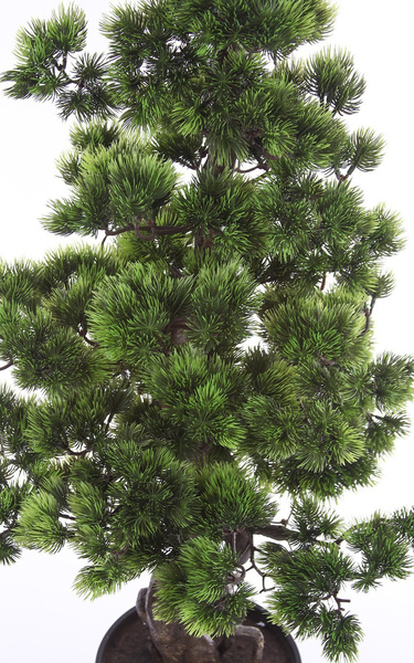 Sztuczne drzewko Bonsai Sosna Pinia 110 cm