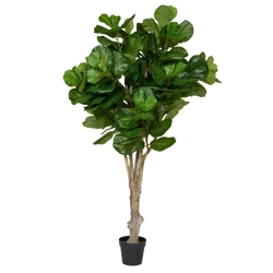 Sztuczny wysoki Fikus Lyrata 180 cm XL dębolistny