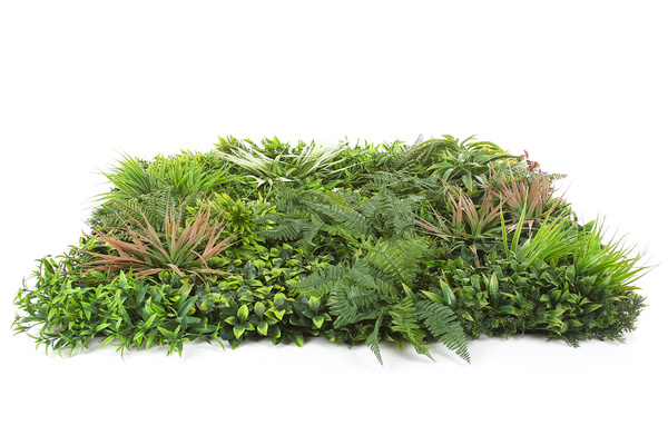 Mata Zielona Ściana panel z liści PREMIUM 100x100 cm