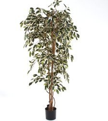 Sztuczny Fikus 180 cm d90 cm biało-zielony