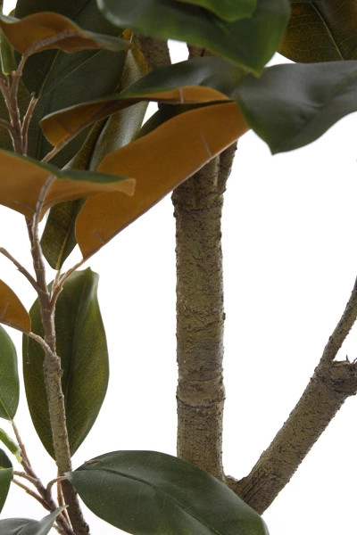 Sztuczna Magnolia Denudata 180 cm