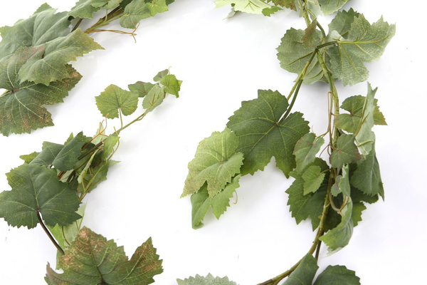 Sztuczne winogrono girlanda wiszące 180 cm 62 liście - zielone