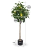 Sztuczne drzewko cytrynowe 120 cm