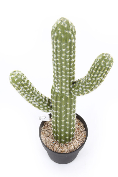 Sztuczny kaktus Saguaro Karnegia olbrzymia M 62 cm