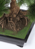 Sztuczne drzewko Bonsai Sosna Pinia 70 cm