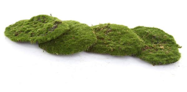 Sztuczny Mech 15 cm czteropak