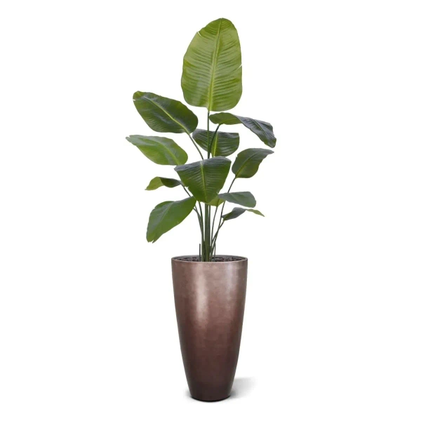 Sztuczna Strelicja Nicolai 150 cm