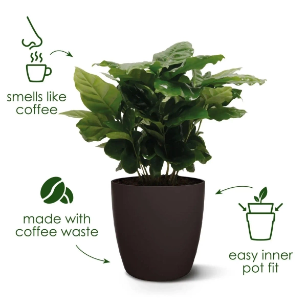 Coffee Collection Elho 16/15 osłonka o zapachu kawy espresso brown