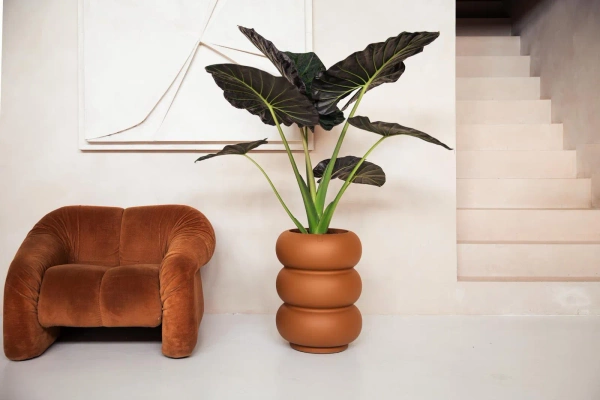 Amber Roll High 43/58 designerska donica wysoka karmelowa