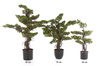 Sztuczne drzewko Bonsai ZEN 90 cm
