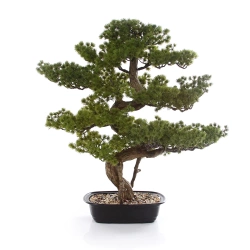 Sztuczny Bonsai Pinia Sosna 68 cm w czarnej doniczce