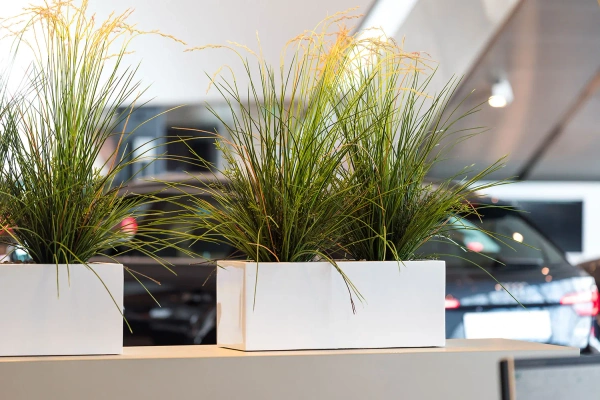 Balcony S 50x20/20 prostokątna doniczka biała lakierowana