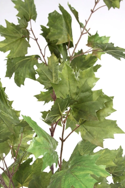 Sztuczny wysoki Klon zielony 175 cm