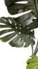 Sztuczna Monstera wysoka XXL 180 cm