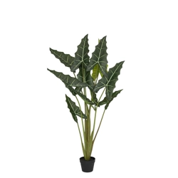 Sztuczna Alokazja 140 cm duże liście