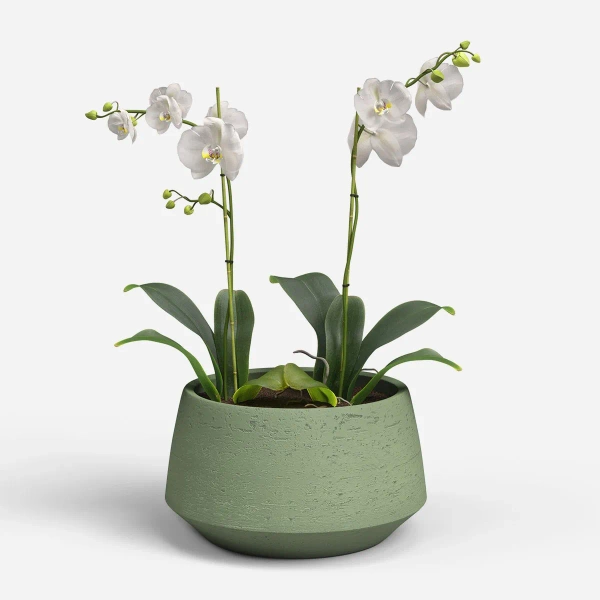 Venus Bowl 27/15 zielona misa ceramiczna