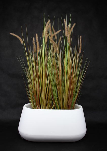 Sztuczna trawa wysoka Dogtail 120 cm z kłosami