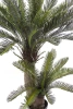 Sztuczny Cycas 145 cm 42 liście UV