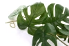 Sztuczna Monstera girlanda pnącze 104 cm