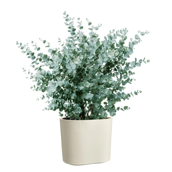 Eden 25 biała donica w organicznym kształcie linen white