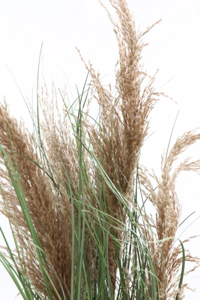 Sztuczna trawa trzcinowa gęsta 110 cm w doniczce