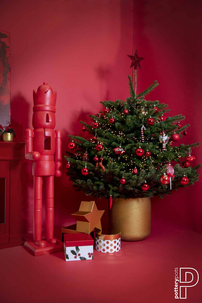 Charlie XXXS 8,5/7,5 doniczka kamienna na kaktusy złota metalik