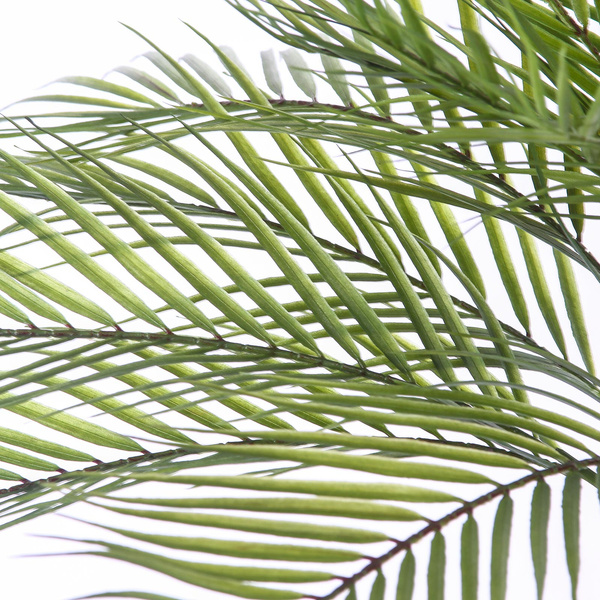 Sztuczna palma Chamedora na pniu 85 cm jak żywa