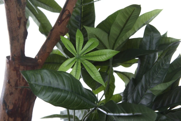 Sztuczna Pachira 175 cm d85 cm