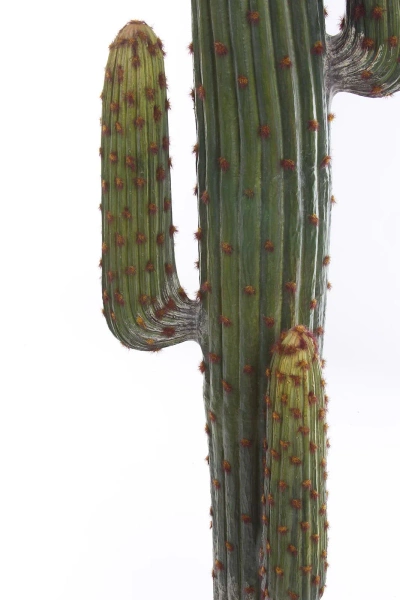 Sztuczny Kaktus Meksykański 170 cm