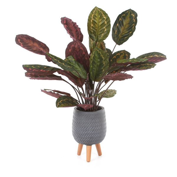 CORDA 22/32 szara osłonka na drewnianych nóżkach