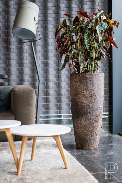 Dax XXL 46/118 wysoka naturalna brązowa donica ostryga / oyster