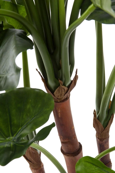 Sztuczna Alokazja Calidora 125 cm deluxe