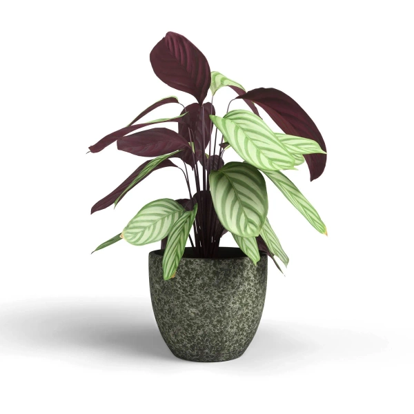 Hestia 25/22 oliwkowa osłonka ceramiczna