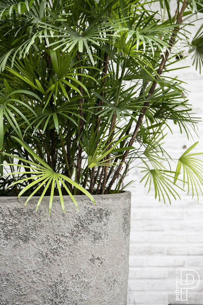 Dax XL 40/97 wysoka donica biel cesarska / imperial white