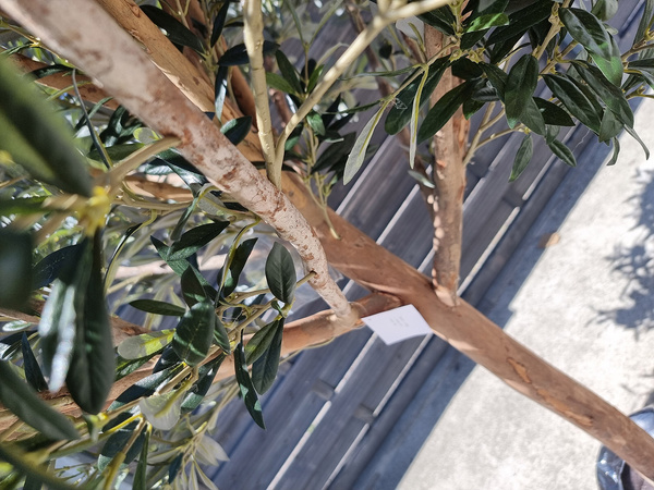 Duża sztuczna Oliwka 180 cm z owocami