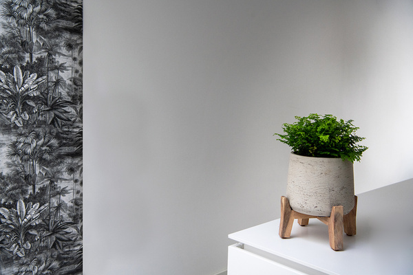 Feet Low S 29,5/15 niskie drewniane nóżki pod doniczkę