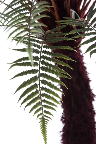 Sztuczna paproć Dicksonia 125 cm