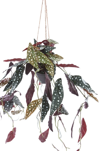 Sztuczna Begonia Maculata wisząca 80 cm w doniczce