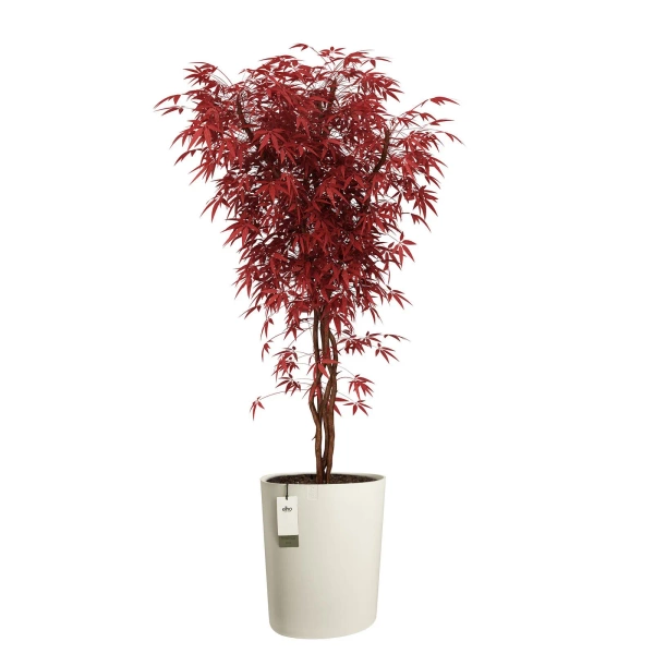 Eden Aquacare High 40 biała wysoka donica asymetryczna linen white system samonawadniający