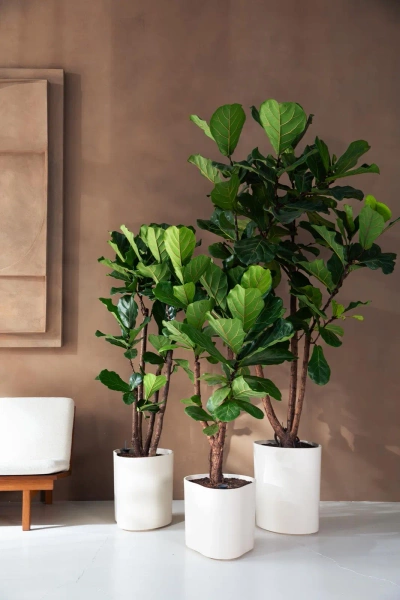 Eden Aquacare Medium 40 biała designerska donica linen white system samonawadniający