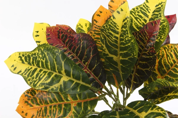 Sztuczny gęsty Kroton 40 cm 30 liści