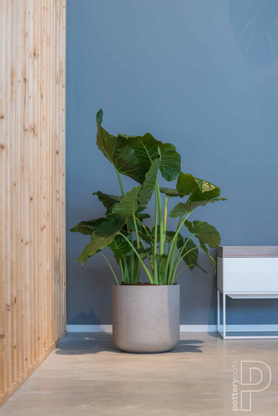 Charlie XXS 10,6/9,9 doniczka kamienna cylindryczna szara