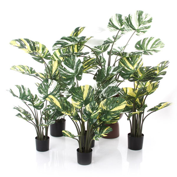 Sztuczna Monstera Variegata dziurawa biała 60 cm