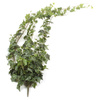 Sztuczny Bluszcz English Hedera wiszący pnącze 170 cm zielony