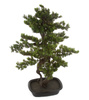 Sztuczne drzewko Bonsai MYRTLE 85 cm w czarnej doniczce