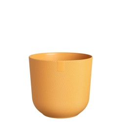 Jazz Elho 14 osłonka żółta amber yellow