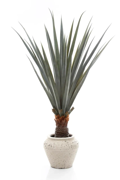 Sztuczna Agawa angustifolia 140 cm UV