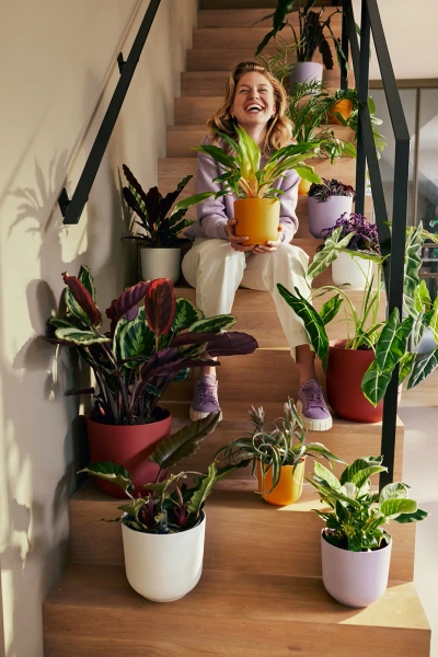 Jazz Elho 14 osłonka toskańska czerwień