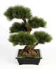 Sztuczne drzewko Bonsai Sosna Pinia 70 cm