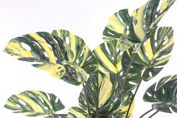 Sztuczna Monstera dziurawa Variegata zielono-żółta 120 cm
